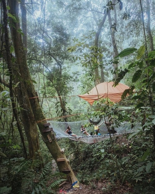 toursites:The giant hammock at Casa Elemento Minca, Colombia