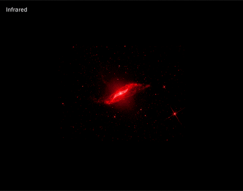 Infrared, X-ray & Optical Images Of Centaurus A