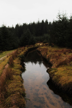 Graymanphotography:  Lovely Reflections In The Leat 