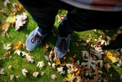 whexican:  vans in autumninstagram - youtube