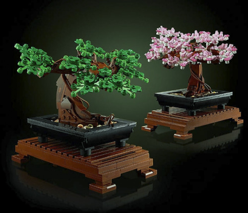 thisisnthappiness:  Bonsai Lego