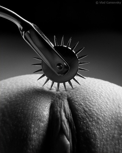 daddysdlg: The Wartenberg Wheel can be used to create all kinds of delicious sensations for a sub. Used lightly, it can tickle, while causing a sense of anticipation. With more pressure, it can cause sharp pain or break skin - so be sure to properly disin