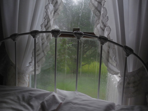 soft-petal:rainy