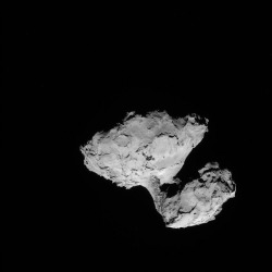 spacettf:  Comet 67P on 9 August 2014 - NAVCAMCAM_20140809