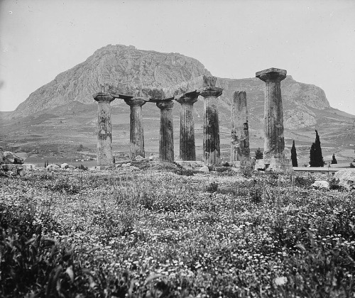 humanoidhistory:The Temple of Apollo in old Corinth, Greece, circa 1955, courtesy of the Library of 