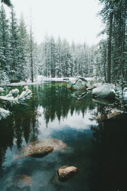 forrestmankins:  Late snow in Yosemite.  