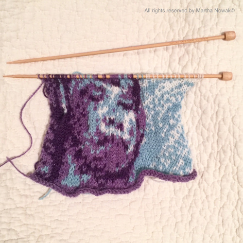 Elongated face: translating pixels into stitches through knitting. This image was created from a fig