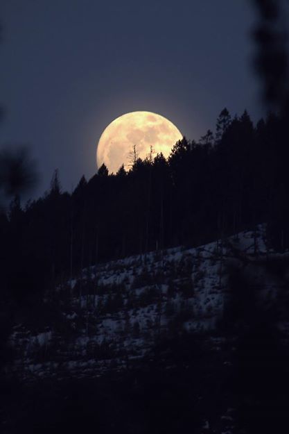 norserunner999:  Depressive/Ambient/Suicidal/Atmosphepic/Doom/Funeral/BlackMetal