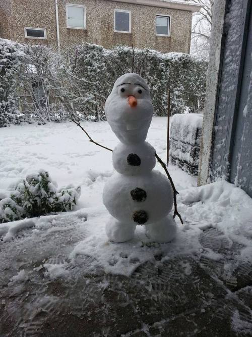 my-flourish-and-blotts:  thedisneyfan:  starinlokissky:  … For the Frozen fandom…   OMG WHY DOESN’T THIS HAVE MORE NOTES  OLAF OMFG!!! 