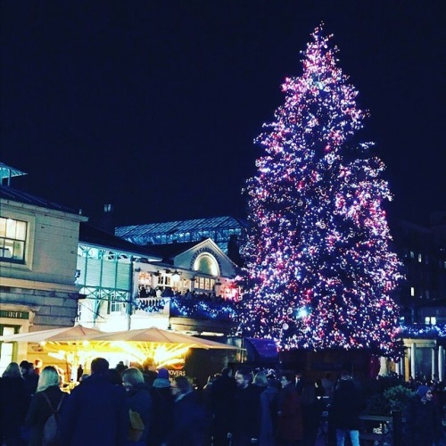 Covent Garden has one of the prettiest Christmas trees this year#londonbylondoners #londonlights #co