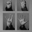 the1975-picture