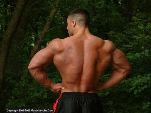 super-youngandstrong: Teen Matt Burzacott: was he hot! …