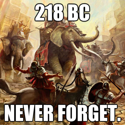 ELEPHANTS REMEMBER