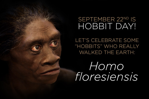 skunkbear: In 2004, scientists discovered some ancient human-like bones on the Indonesian island of 