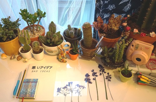 My Workspace Is A Tiny Garden