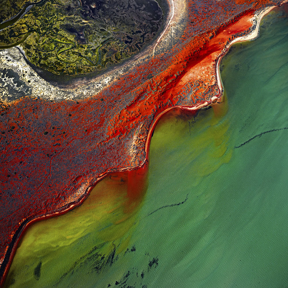 nevver:  Earth matters