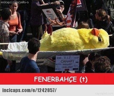 FENERBAHÇE