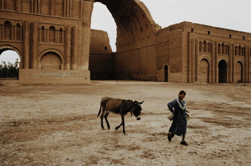 aliirq:Girl walks a mule on the grounds surrounding the Caliphate Palace. Saladin, Iraq. 2003by