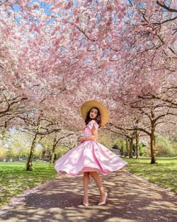 vintageinstepford2: Beautiful femininity in the glory of cherry blossoms. -VIS 