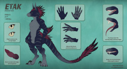 nawka:   Refs of Etak, a Chimera OC designed with  AsiriThis was actually started around the beginning of the year but busy as things have been, I never quiiite got to the finishing touches to the ref proper ‘til recently.I have been thinking about