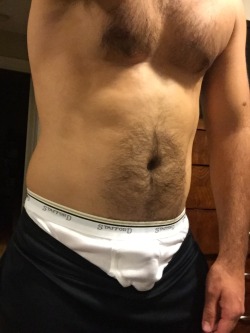 Vintage Stafford Briefs