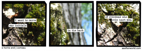 softerworld:A Softer World: 1210(not every love burns.)buy this print • become our patron