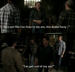 second-hand-smoker:  OKAY, I knew what supernatural was before I joined tumblr but now, well now supernatural fandom, you have fucked me up. I don’t even watch this god damn show and I spend hours of my life in the Destiel tag and I all I have to ask