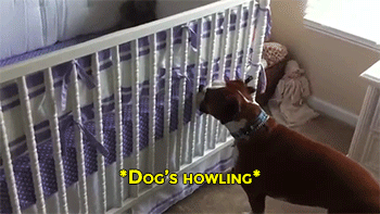 mommytojoshie:  sizvideos:  Video   Omg that is too sweet!!