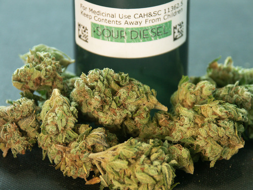 Weed Palace