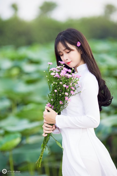  Vietnamese long dress (Ao dai) bởi Beauty Collection Qua Flickr: Photo backup https://flic.kr/s/aHs