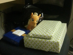 Today&rsquo;s my birthday! When I got out of bed my amazingly wonderful wife was out to get us some breakfast, so I dragged my lazy self over to the computer and found some presents waiting for me guarded by a little Applejack plush, eee! One of them