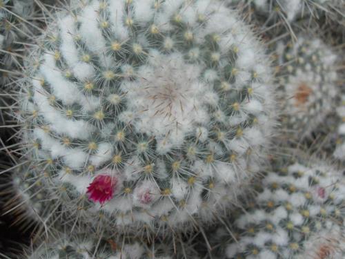 photographybyemilyrivait:  Property of, and all work is done by me (Emily Rivait) unless otherwise specified.