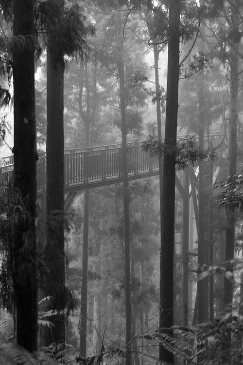templeofmystique: how enchanting