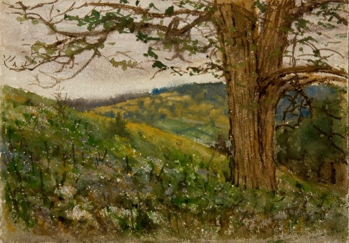 Otto Heinigke Landscape with Tree, c. 1880Watercolor on paper