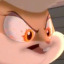 hungwyboi