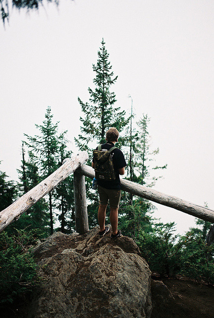 calms:  nature/vintage/photography blog    