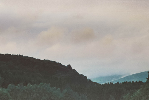 gloriousmayhem:  magicsystem:  Perdido (by OndaOcho)      