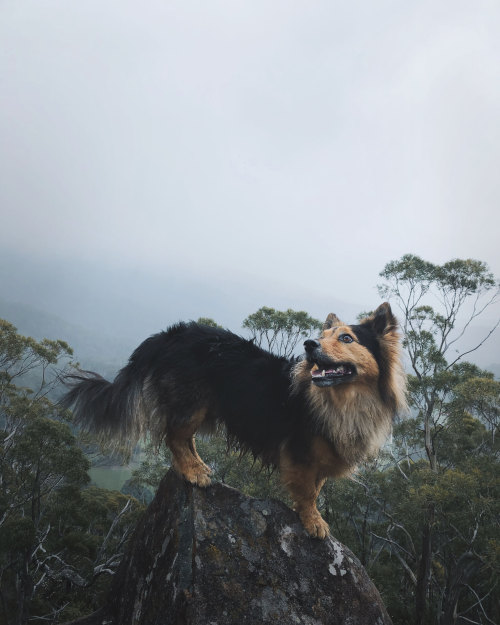 little-fox-adventures:Wild weather in beautiful tassie today