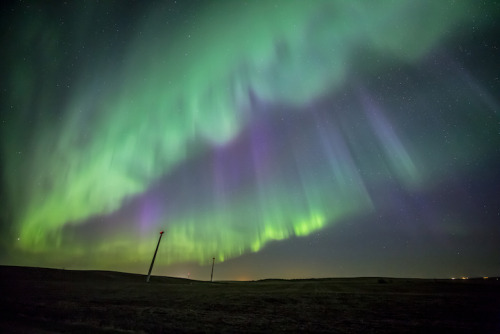 mymodernmet:Interview: Gorgeous Landscapes Heightened by Auroras Illuminating the Night Sky