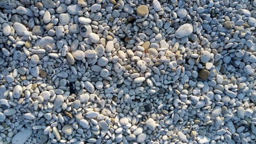 Sulle tracce degli Argonauti - Spiaggia delle Ghiaie La leggenda narra che la spiaggia fosse stata l