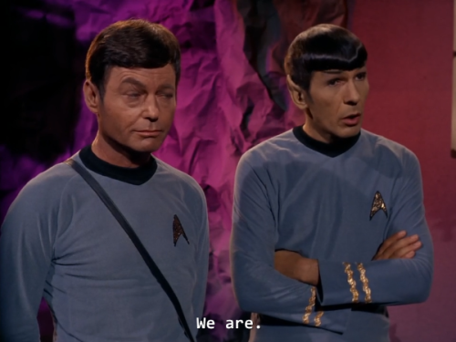 thenorsiest:takemetotheenterprise:narramin:cinema peaked at Star Trek: The Original SeriesExcellent 