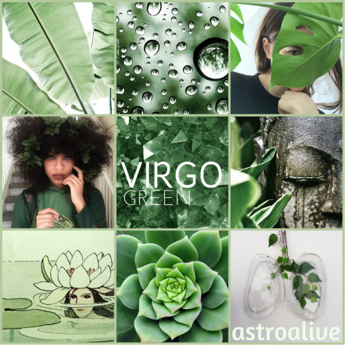 Virgo Wallpapers on WallpaperDog