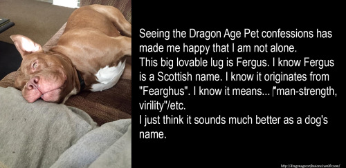 CONFESSION:Seeing the Dragon Age Pet confessions has made me happy that I am not alone. This big lov