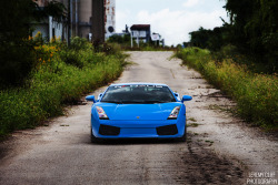 automotivated:  Lamborghini Gallardo aka “LAMBONR” (by jeremycliff)
