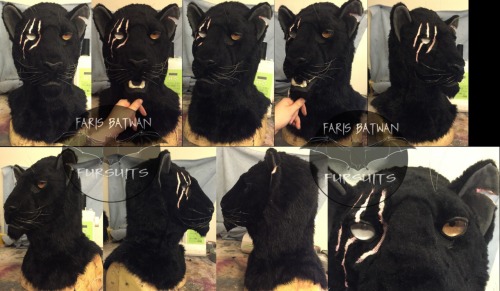 Black leopard for sale! Lowered to $650 with a tail…go here for more info: http://www.furaffinity.ne