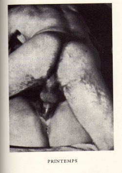 afroui: Man Ray 