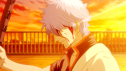 mystery-dungeon:  "The main character of Gintama... is every last idiot alive in this show!" 