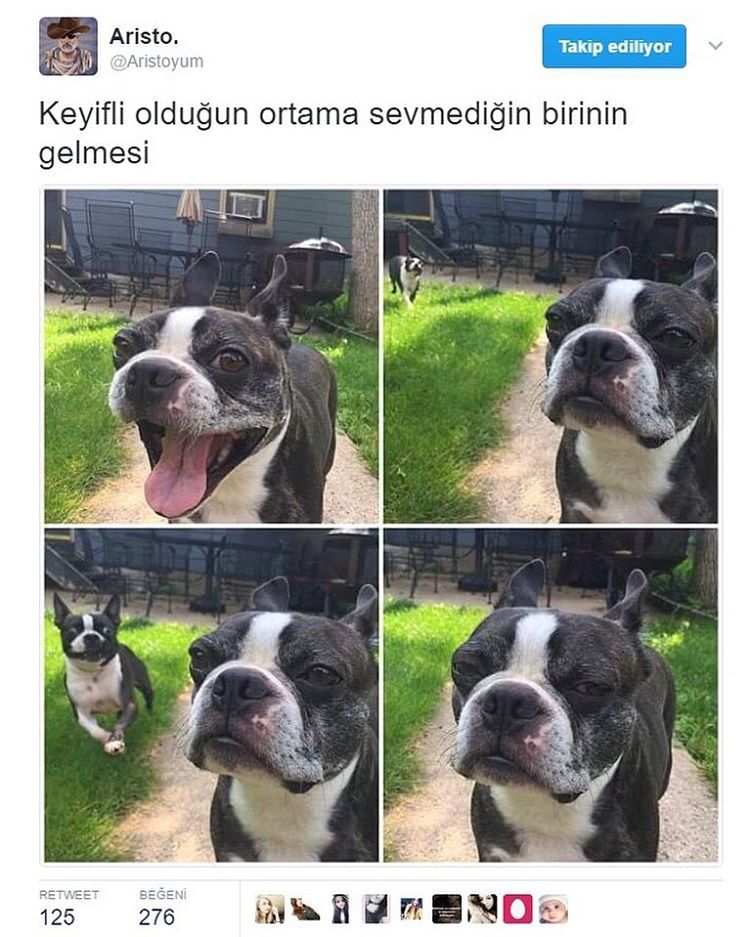 Keyifli olduğun ortama...