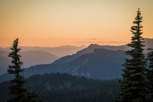 Sunset Mount Rainier National Park by Lianne Morgan