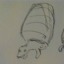 nobodyheres-blog1
